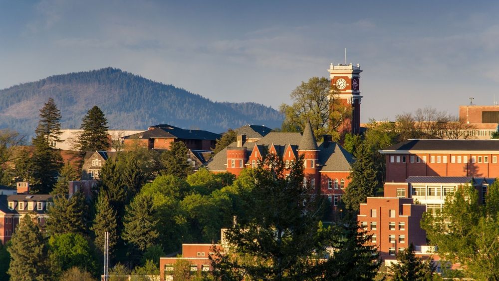 What Is The Cost Of Washington State University