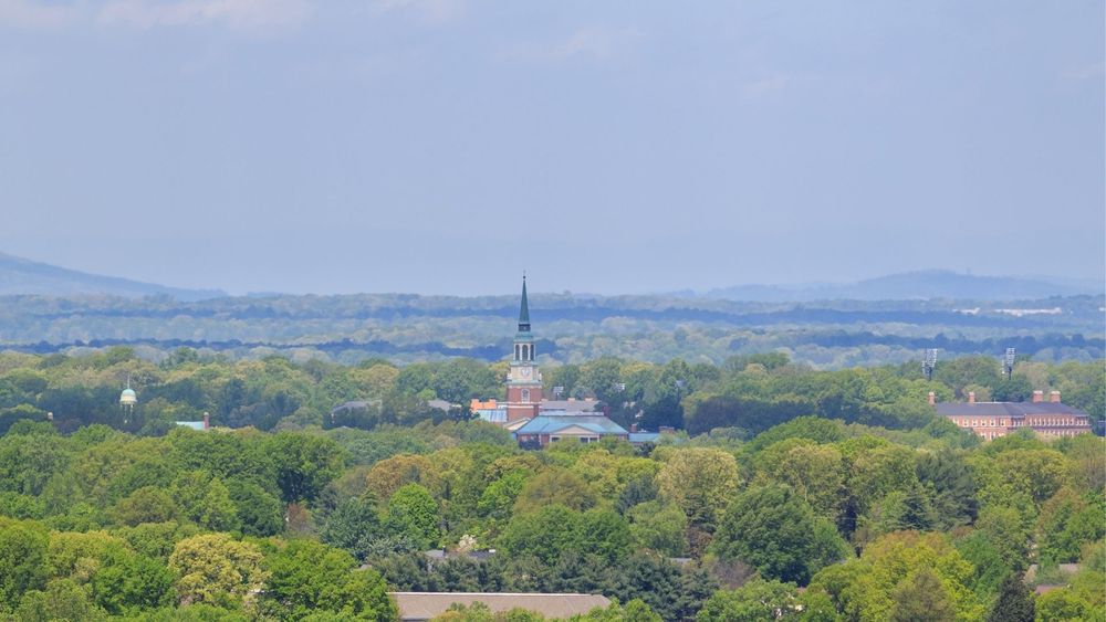 Wake Forest University