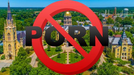 Campus Reform  EXCLUSIVE: WSU promotes porn-filled Discord server in  mailing list