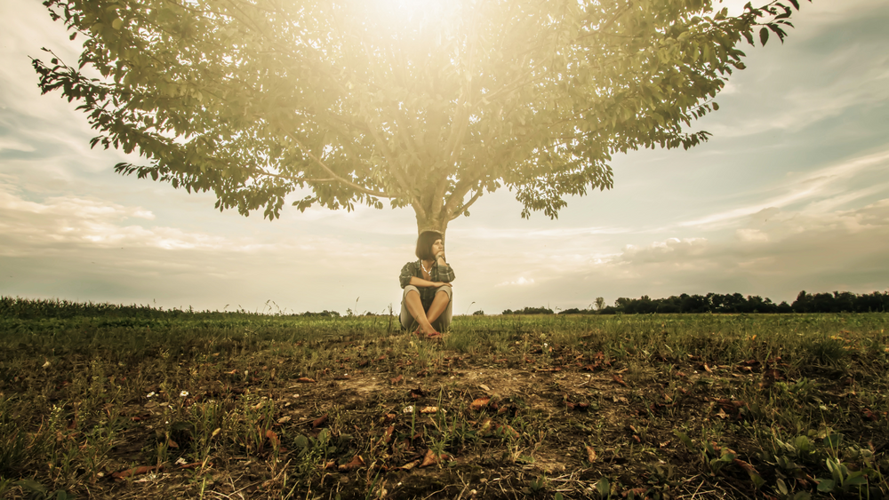 Campus Reform the #1 Source for College News - Vimarsana News