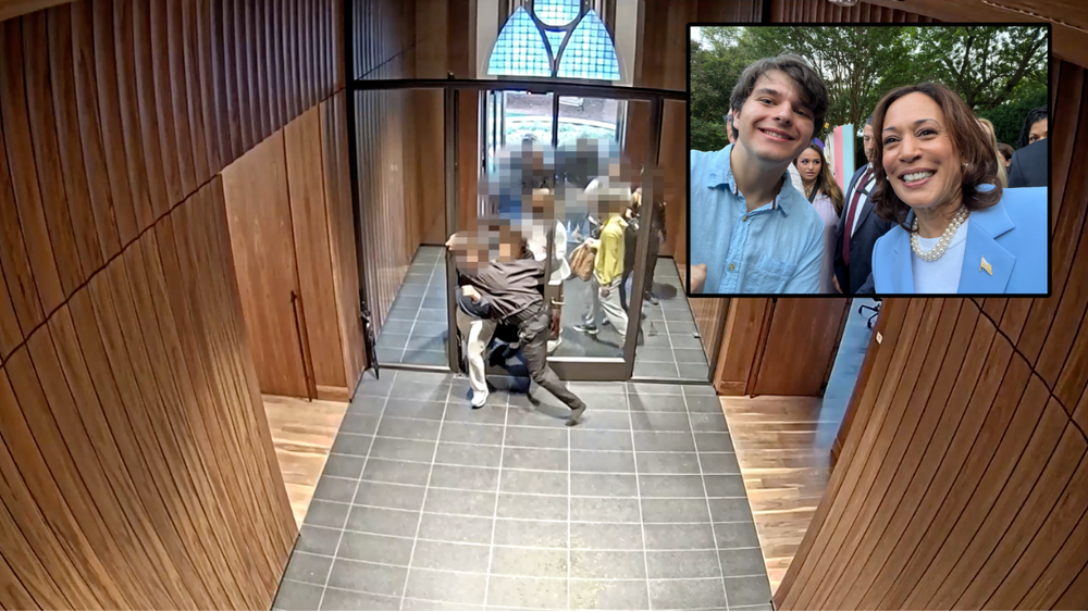 Expelled Vanderbilt anti-Israel protester who previously met with Kamala Harris now faces possible yearlong jail sentence