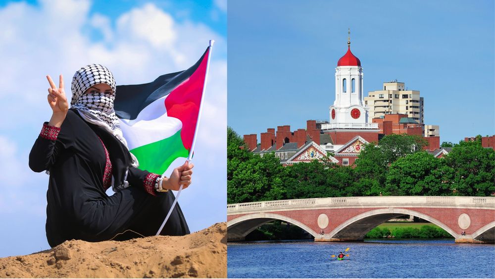 Pro-Hamas Harvard student org files amicus brief to protect university funding amid anti-Semitism concerns