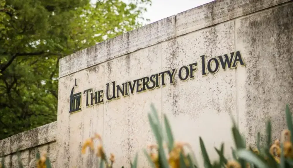 Former Iowa center search chair accuses regents of prejudging director selection